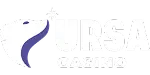 ursa kasino logo